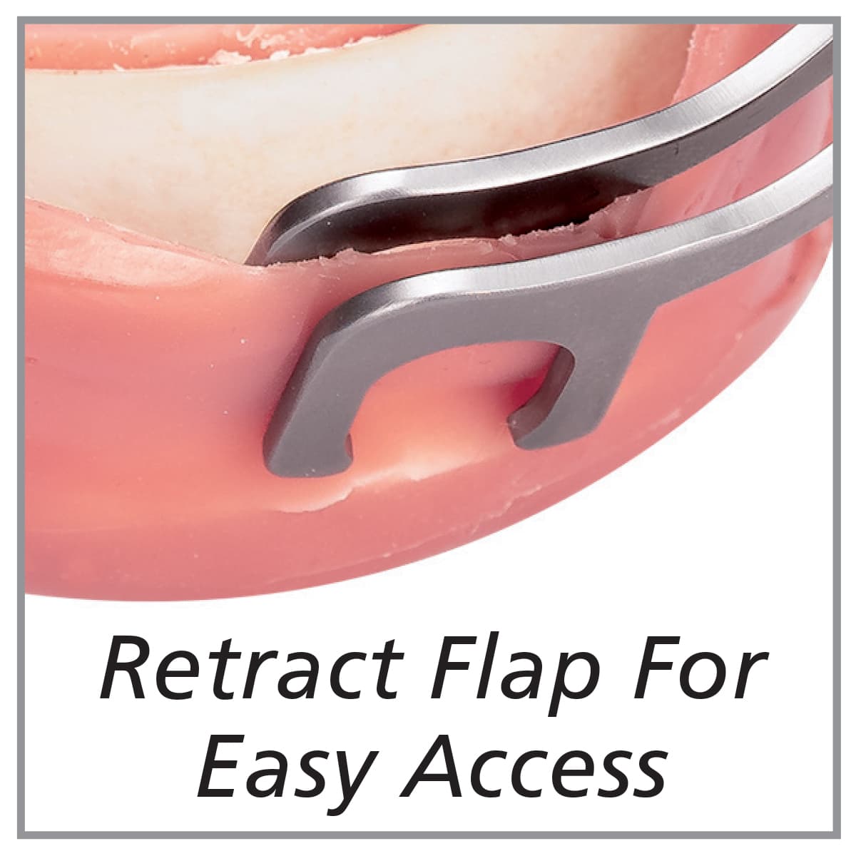 Flap Holding Forcep