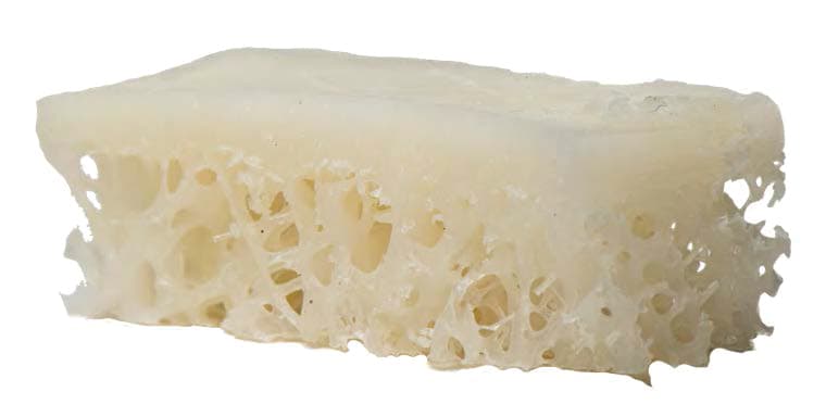 OraGRAFT® Pre-Hydrated Unicortical Block